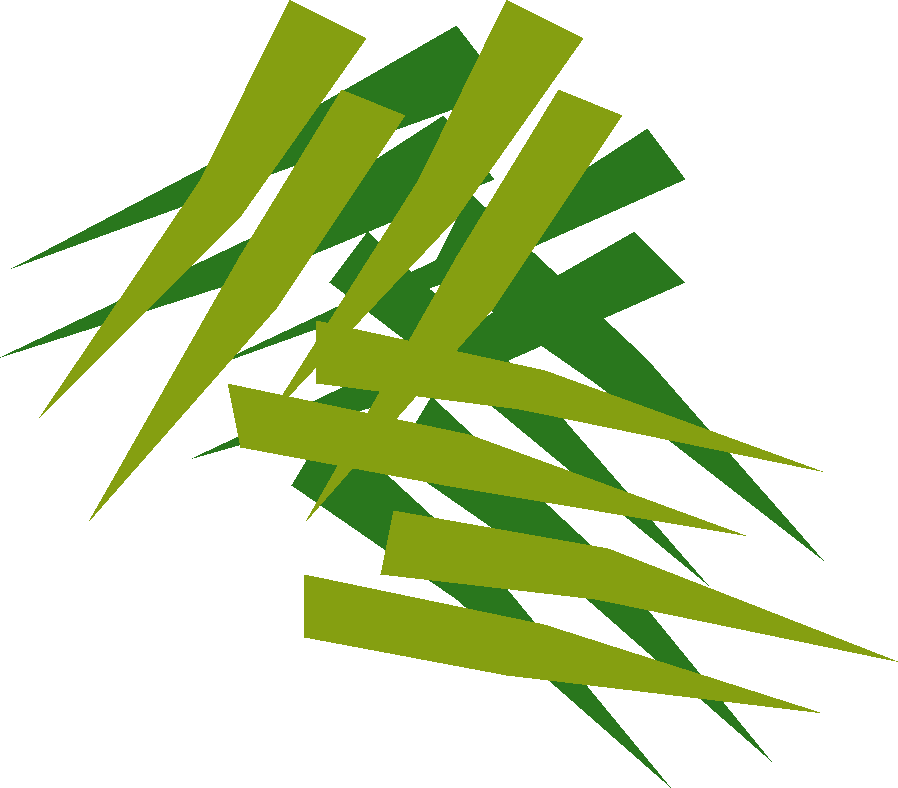 Old School Runescape Wiki - Portable Network Graphics Clipart (898x788), Png Download