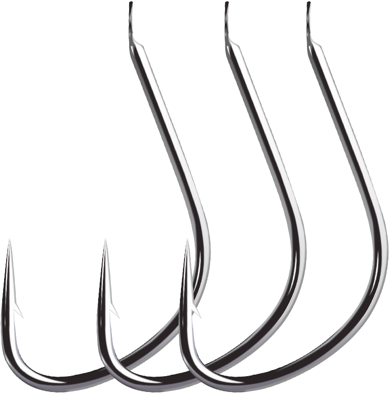 Clip Art - Png Download (800x800), Png Download