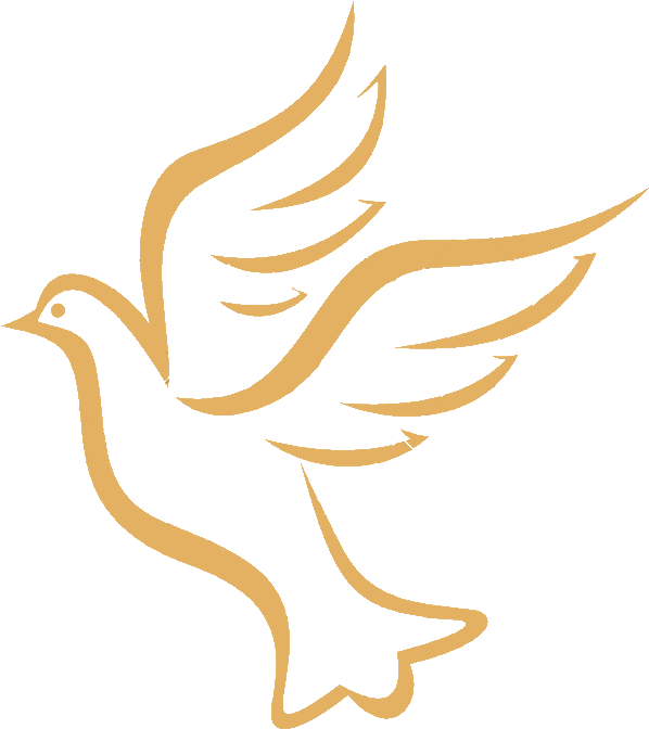 Illustration Clipart (645x682), Png Download