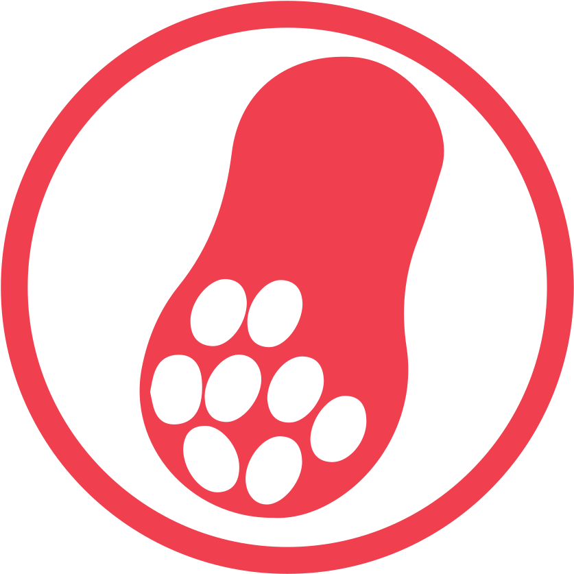Peanut Allergy Red Icon - Food Allergy Icon Png Clipart (1024x1024), Png Download