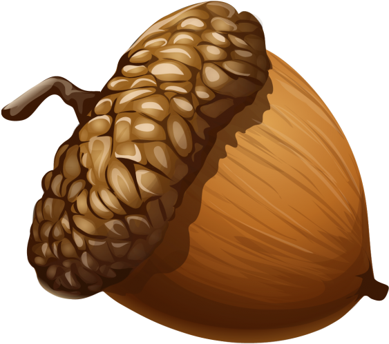 Clipart Of An Acorn - Acorn Clipart - Png Download (600x537), Png Download