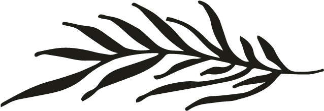 Clip Art - Png Download (696x696), Png Download