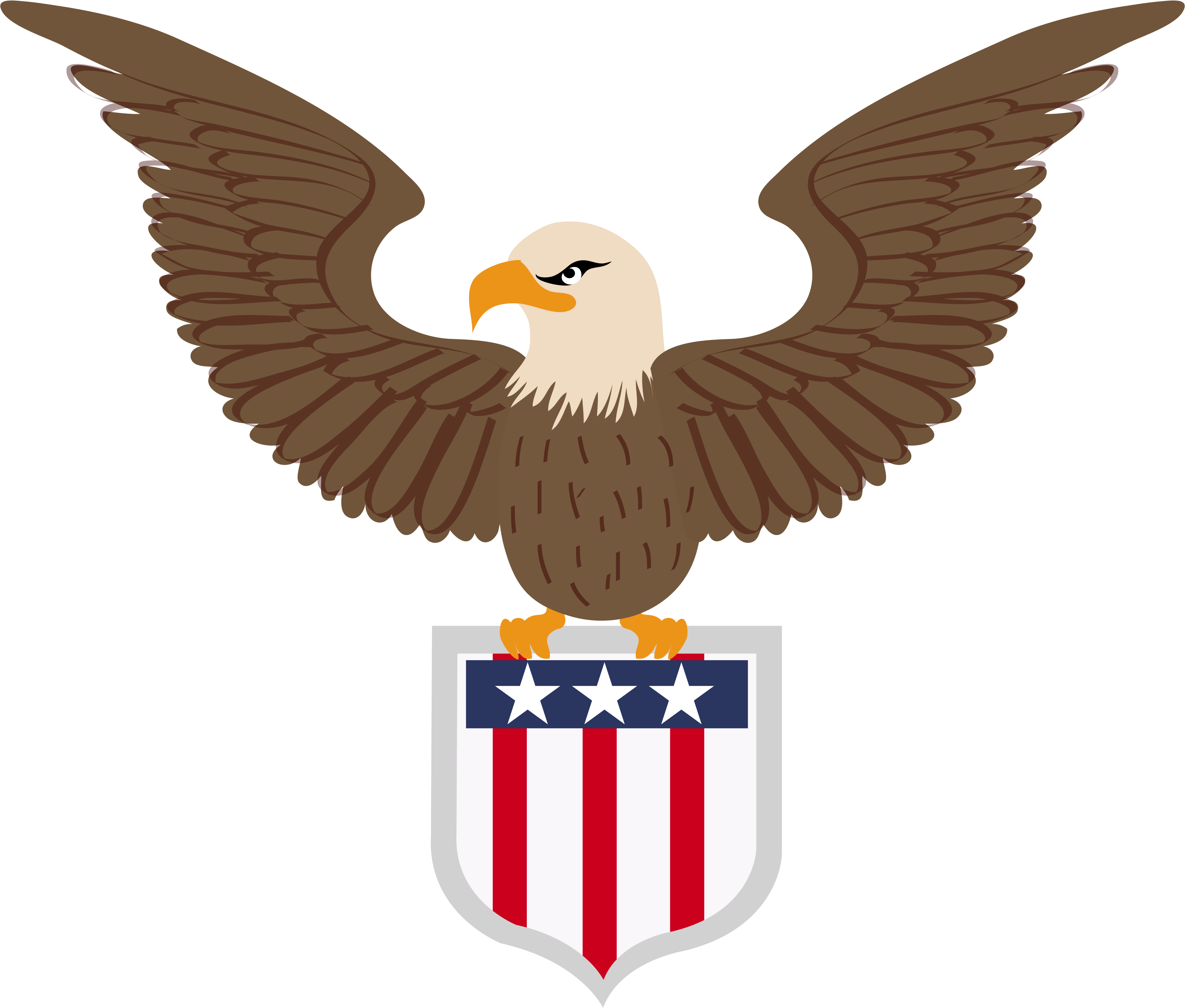 Bald Eagle Clipart (4167x4167), Png Download