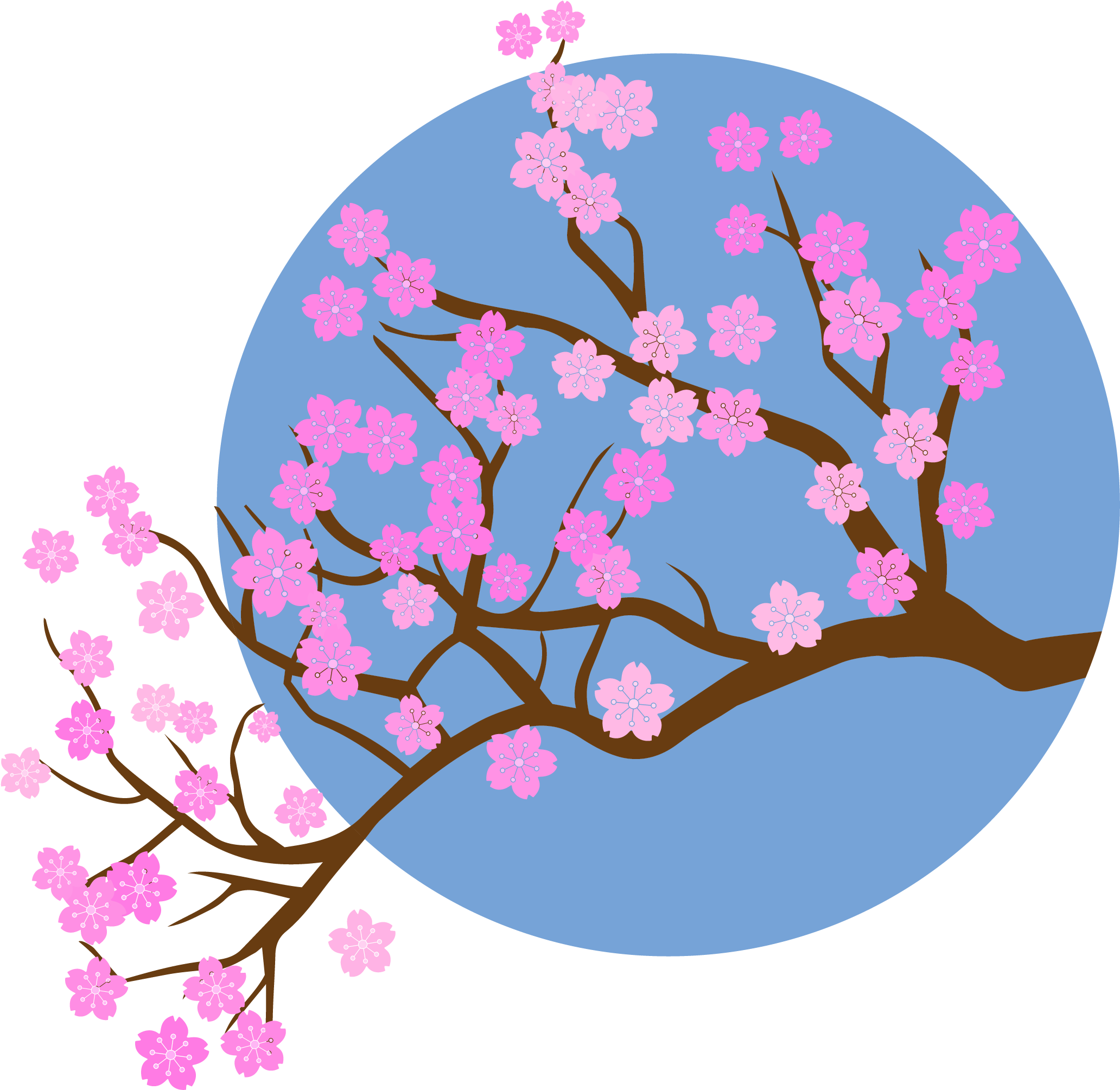 Cherry Blossom Clipart (2084x2084), Png Download