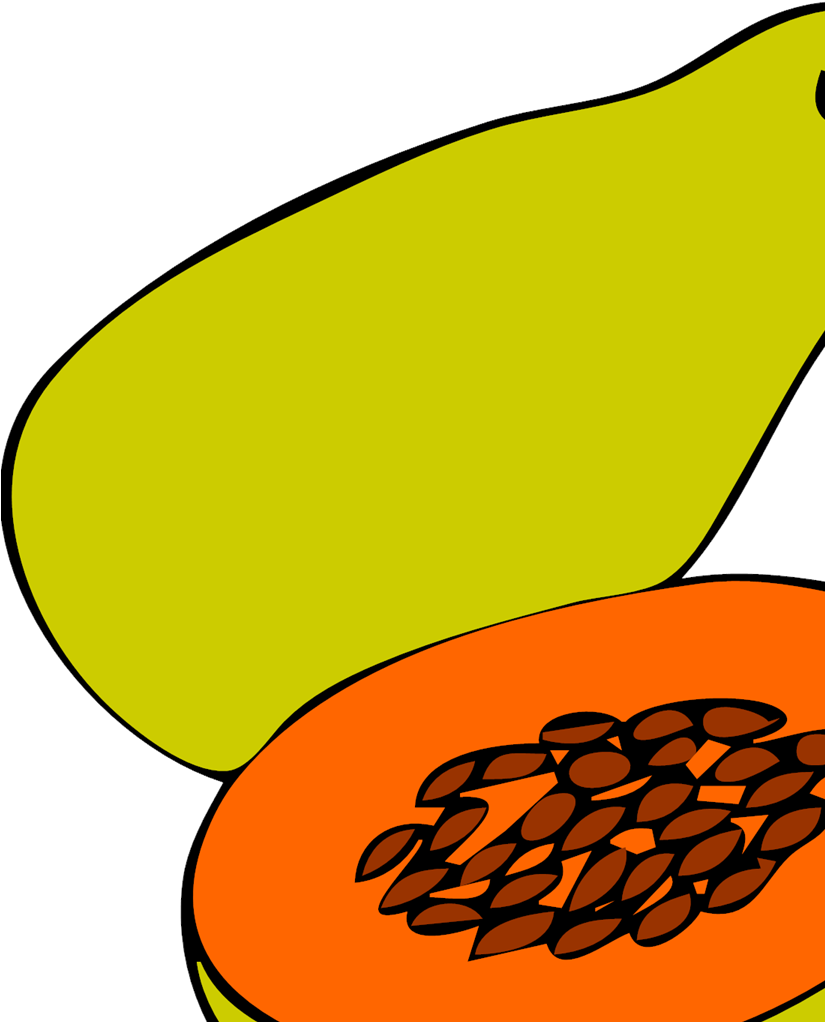 Translarent Papaya Clipart - Png Download (1024x1024), Png Download