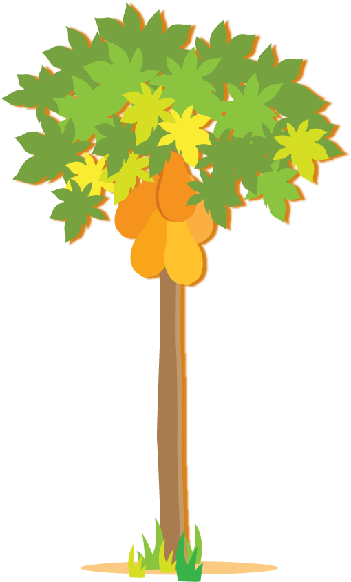 Papaya Tree Clip Art Png Download Full Size Clipart (5327790