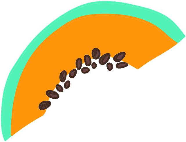 Papaya Slice Clipart - Png Download (800x564), Png Download