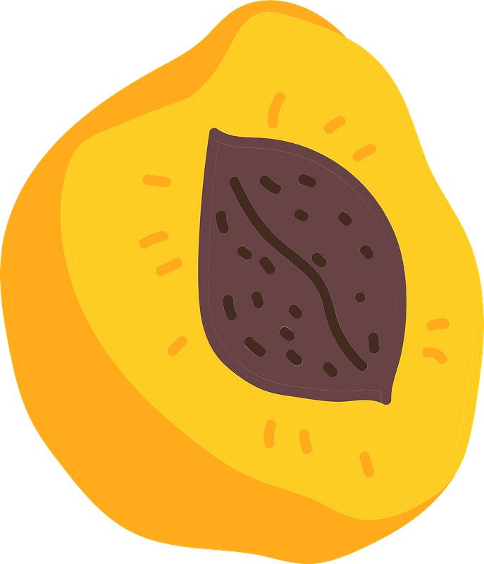 Apricot Clipart - Illustration - Png Download (687x800), Png Download