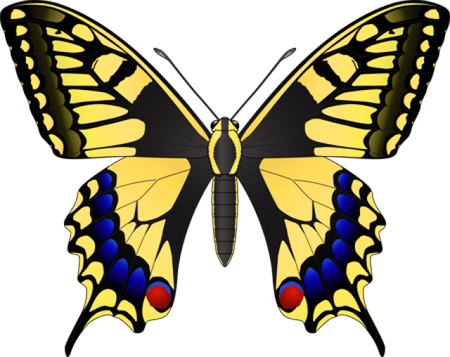 Animal Crossing Insects Png Clipart (640x508), Png Download