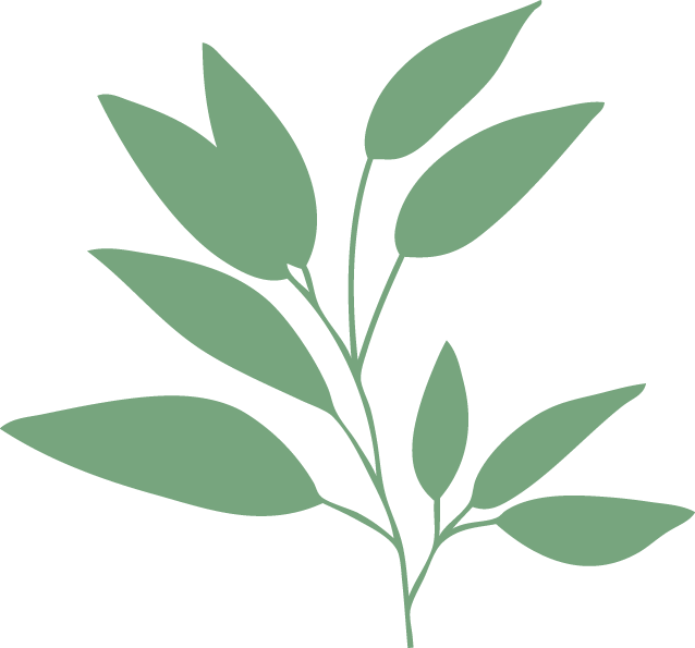 Matica8 Clipart (638x595), Png Download