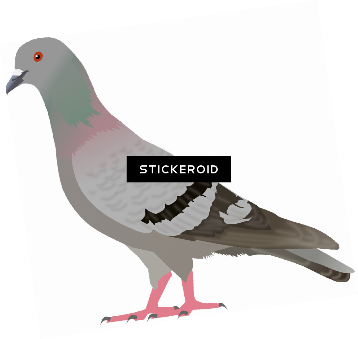 Clip Art , Png Download - Transparent Pigeon Clipart (1233x1167), Png Download