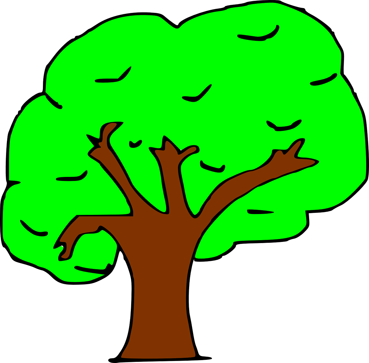 Arbol Clip Art - Png Download (1280x1262), Png Download