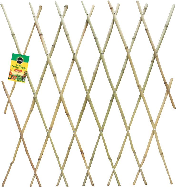 Transparent White Picket Fence Clipart - Fence - Png Download (740x785), Png Download