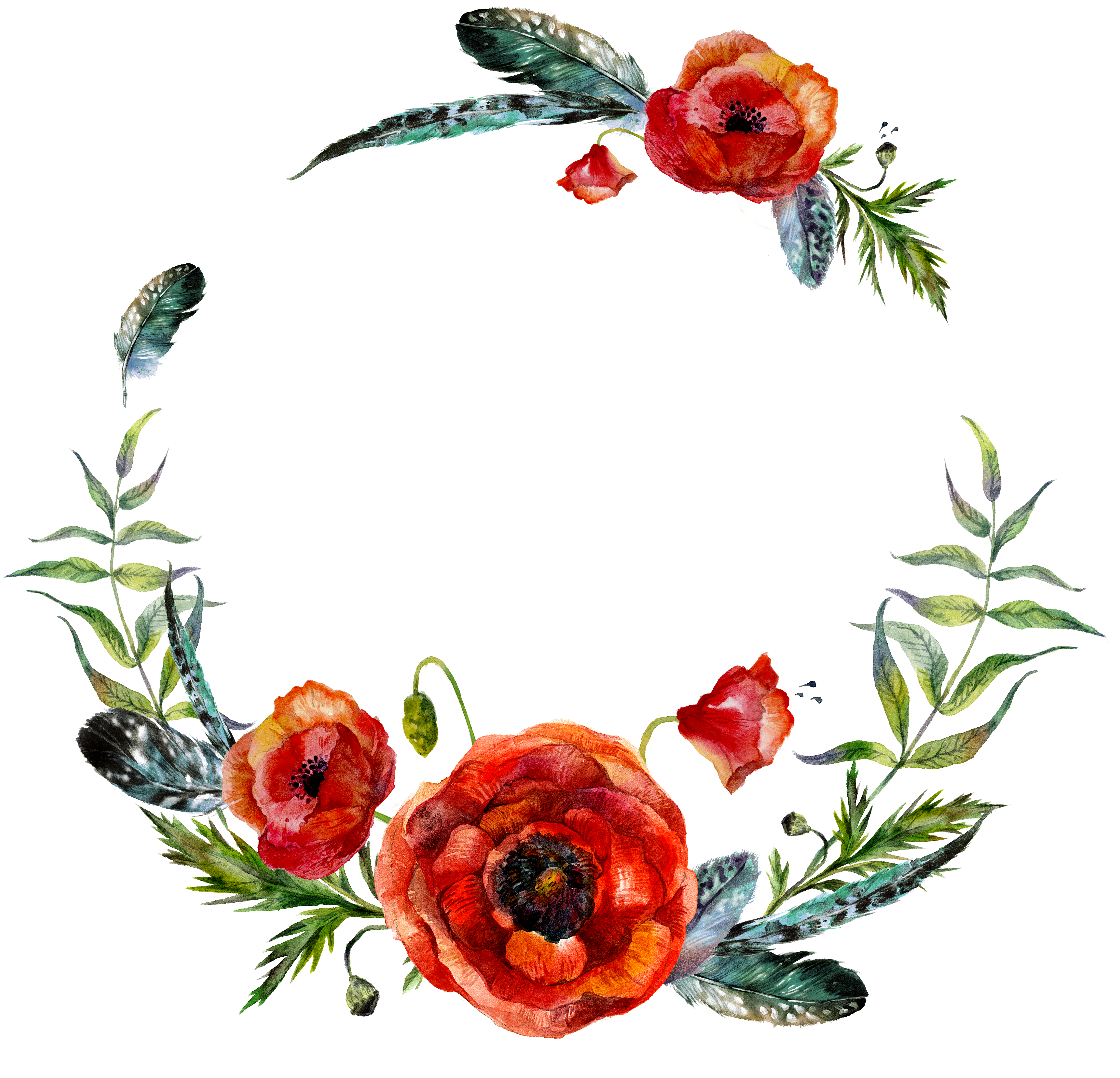 Poppies Clip Art - Png Download (5000x5000), Png Download