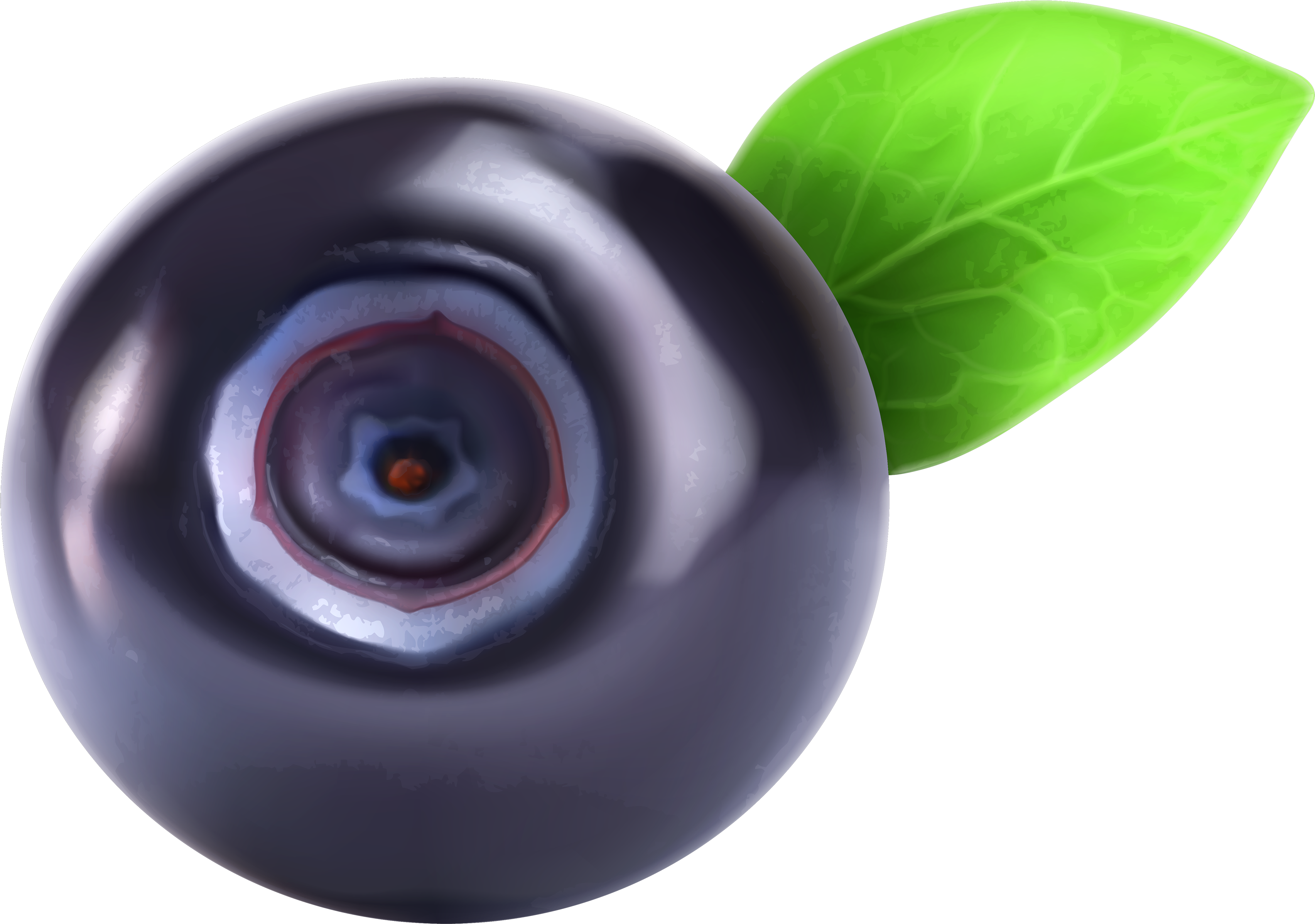 Blueberry Png Clipart - Blueberry Clipart Png Transparent Png (3500x2620), Png Download