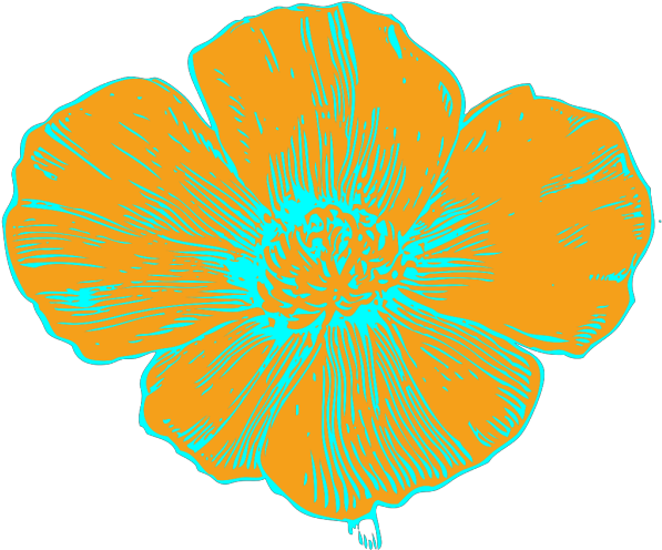 Orange And Blue Poppy Png Images Clipart (600x600), Png Download