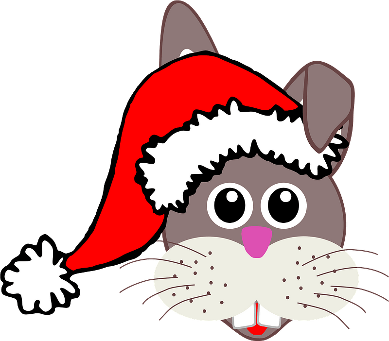 Bunny Face With Santa Claus Hat Clipart - Santa Claus Hat Gif - Png Download (800x702), Png Download