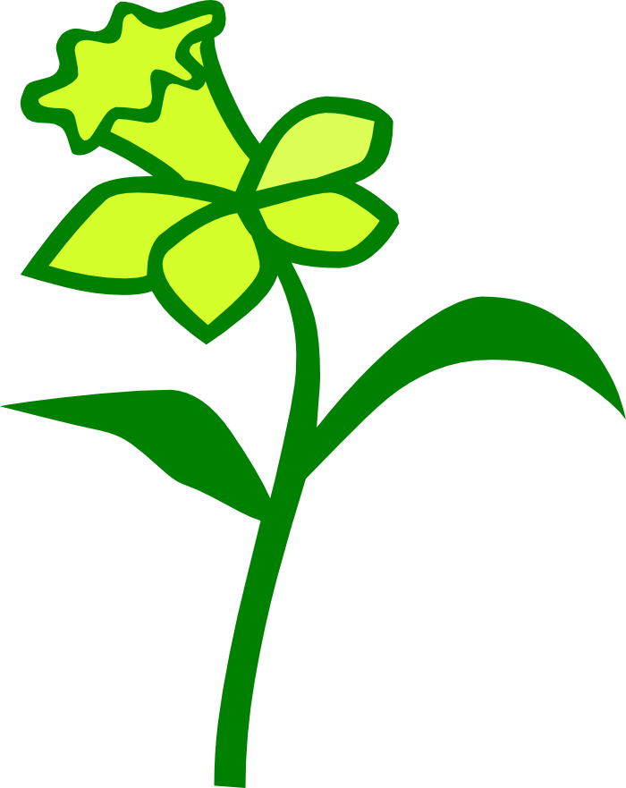 Dafodil Clipart - Png Download (700x881), Png Download