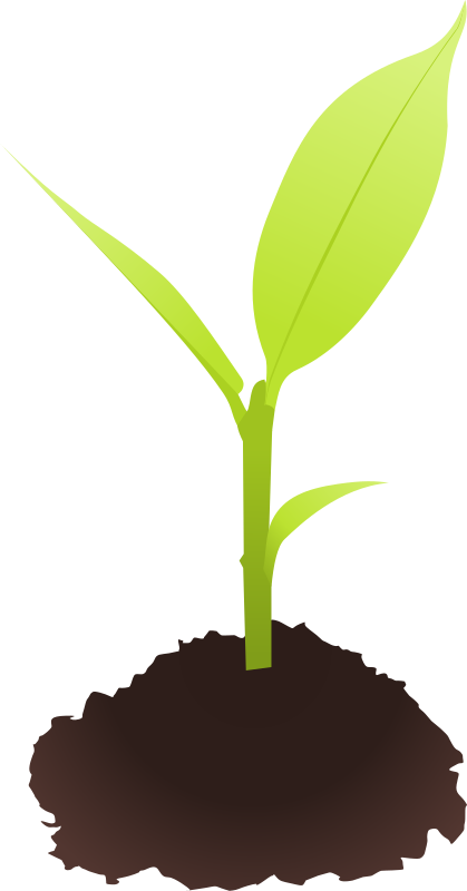 Free To Use &amp, Public Domain Plants Clip Art - Small Plant Clipart - Png Download (419x800), Png Download