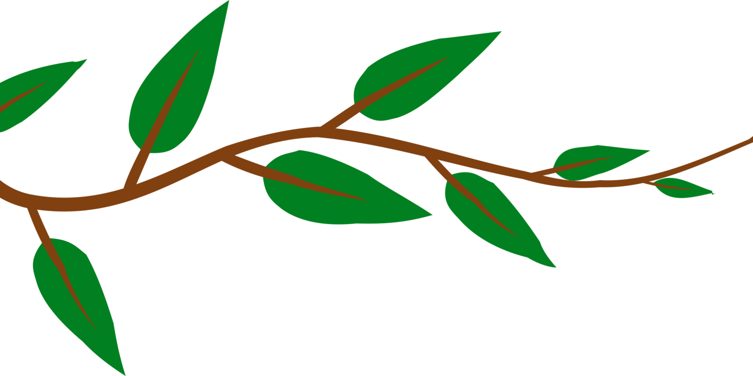 Plant,flora,leaf - Transparent Vines Clip Art - Png Download (1500x750), Png Download