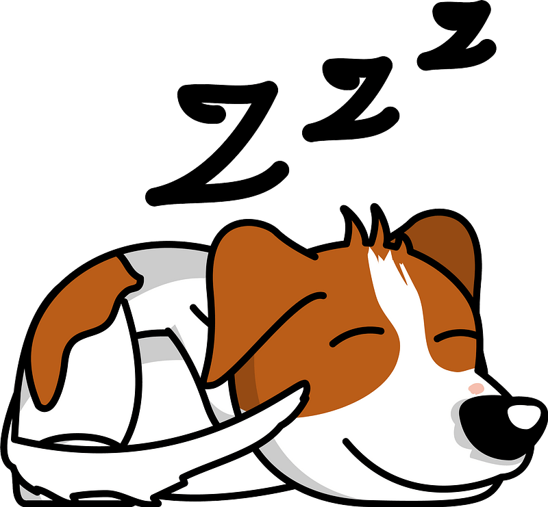 Sleeping Jack Russell Terrier Clipart - Clipart Jack Russell Dog - Png Download (800x741), Png Download