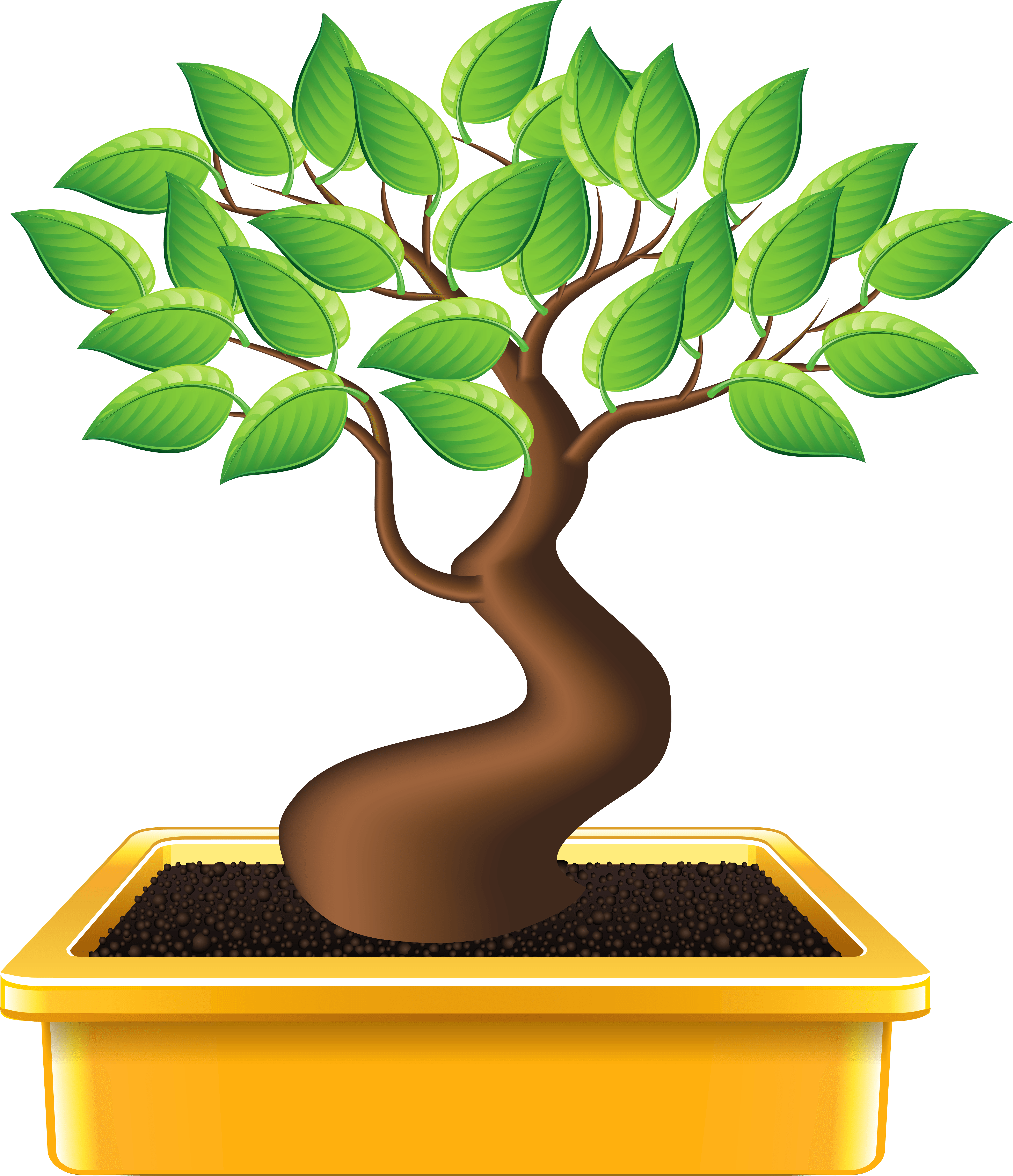 Bonsai Png Clipart Image - Bonsai Clipart Transparent Png (5049x5862), Png Download