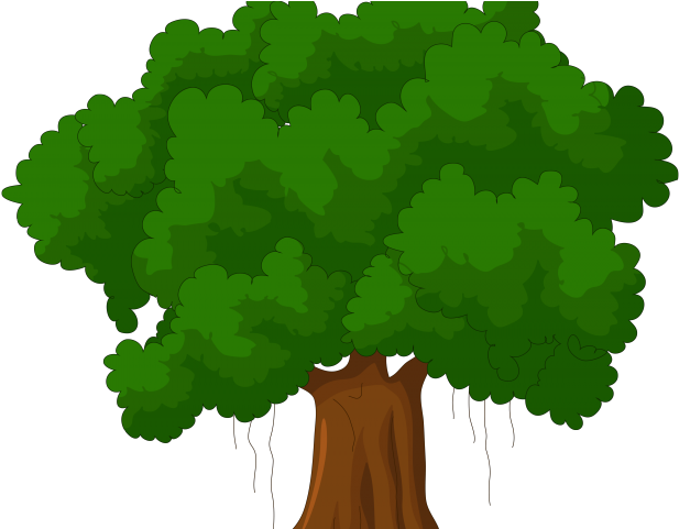 Cartoon Transparent Background Tree Clipart - Png Download (640x480), Png Download