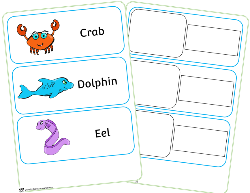 Transparent Under The Sea Clipart - Sea Animals Word - Png Download (867x668), Png Download