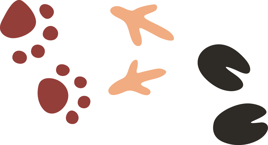 Circle Clipart (1042x565), Png Download