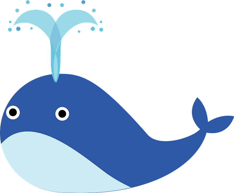 Whale Clipart - Png Download (800x660), Png Download