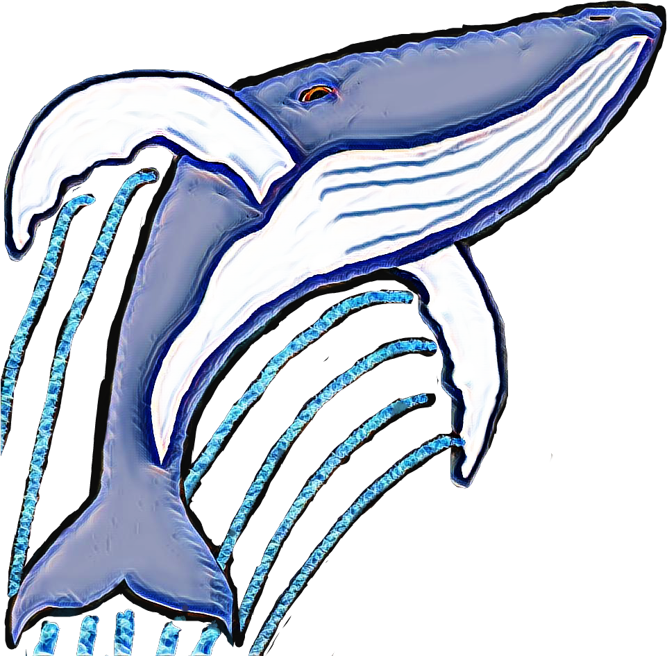 Short-beaked Common Dolphin Clipart (976x944), Png Download