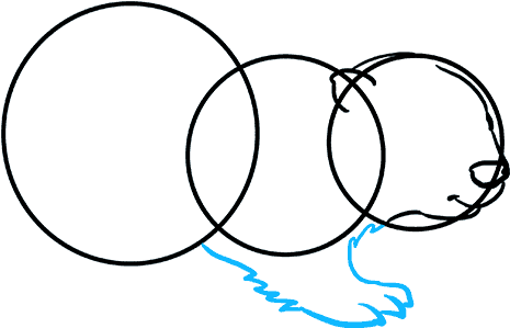 How To Draw Beaver - Drawing Clipart (680x678), Png Download