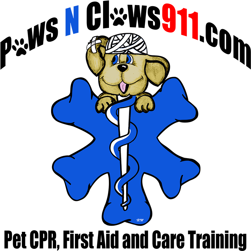 Cartoon Clipart (810x810), Png Download