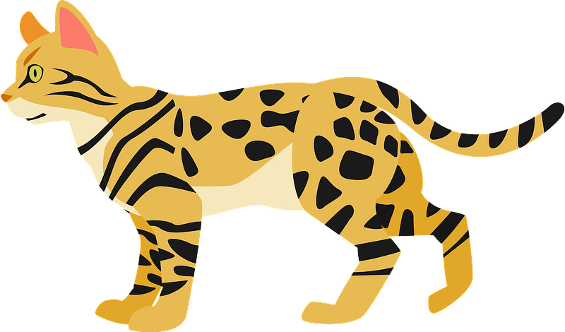 Bengal Cat Clipart - Png Download (800x470), Png Download