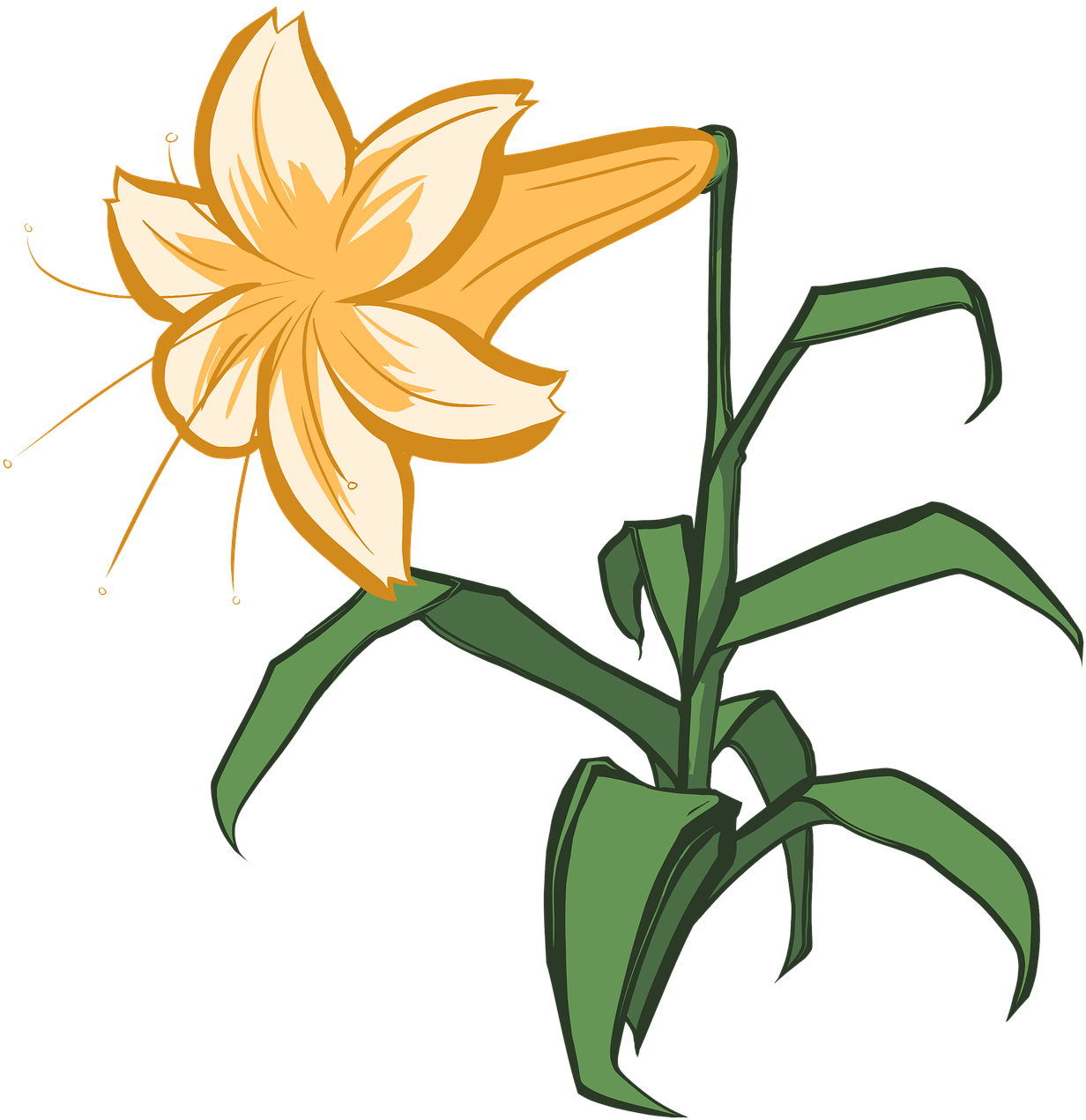 Lily Clipart (1249x1280), Png Download