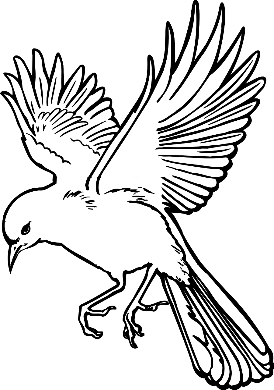 Outline Flying Bird Drawing Clipart (901x1280), Png Download