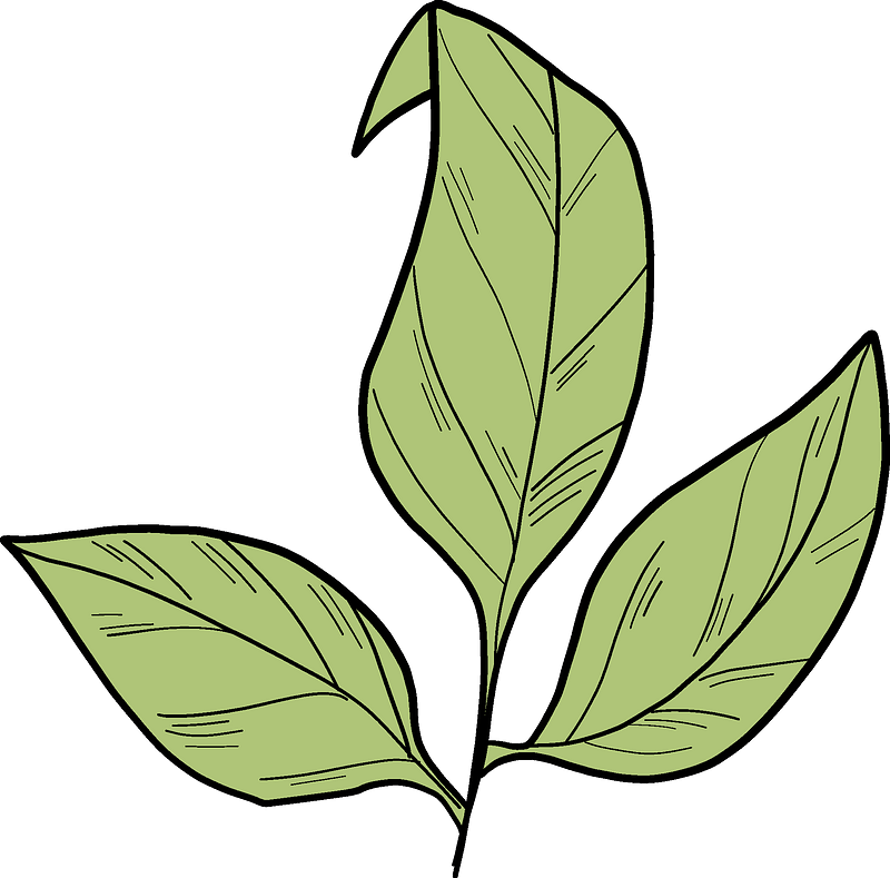 Rose Leaves Clipart - Png Download (800x789), Png Download