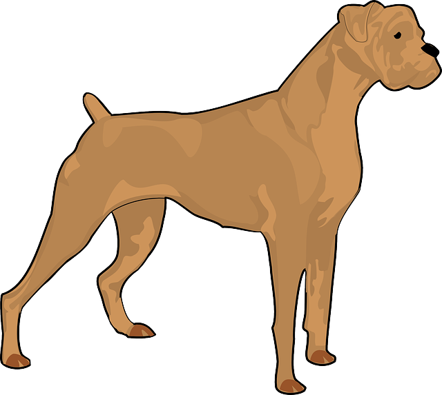 Brown, Dog, Pet, Animal, Mammal, Boxer, Fur, Breed - Boxer Dog Silhouette Clipart (640x573), Png Download