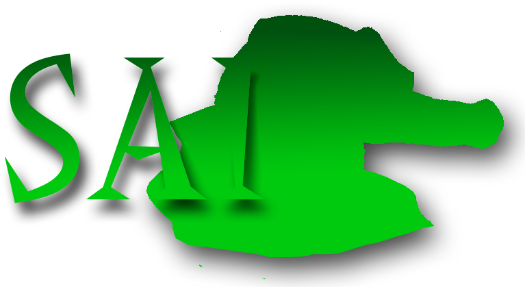 Software Paint Tool Sai Icon Clipart (767x419), Png Download