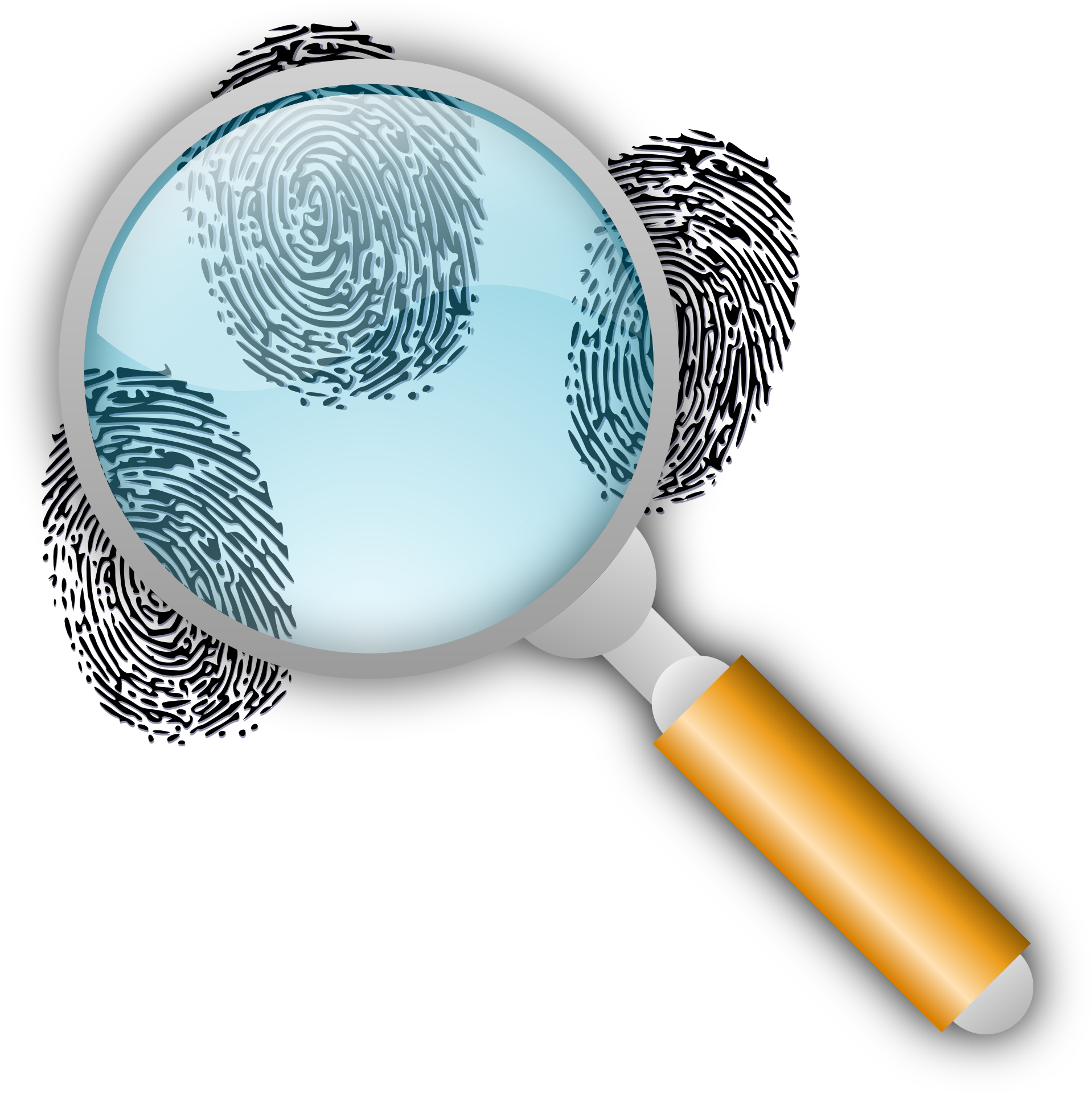 [copesville] Man Shot And Killed Outside Residence - Magnifying Glass With Fingerprints Clipart (1918x1920), Png Download
