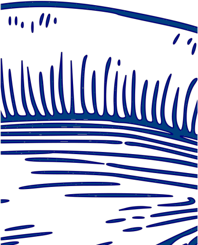 Conch Shell Png Icons - Conch Clipart (600x600), Png Download