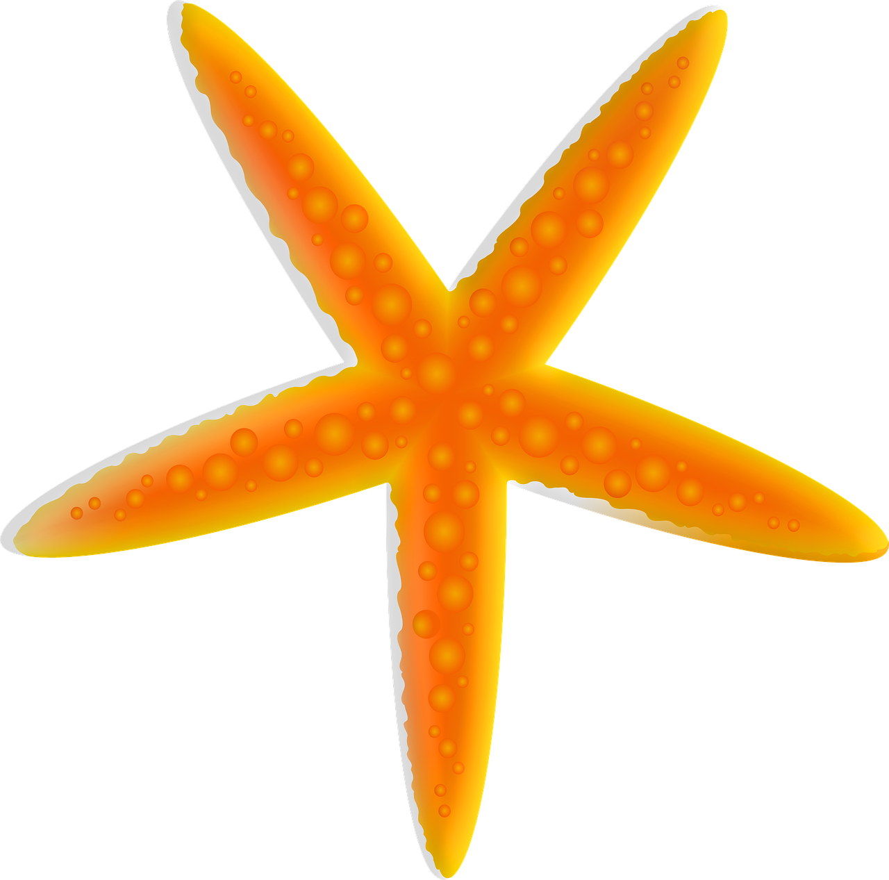 Starfish Clipart (1280x1267), Png Download