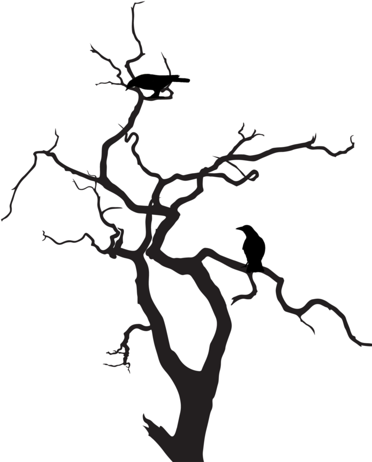 Transparent Bonsai Clipart - Silhouette Of A Scary Tree - Png Download (751x931), Png Download