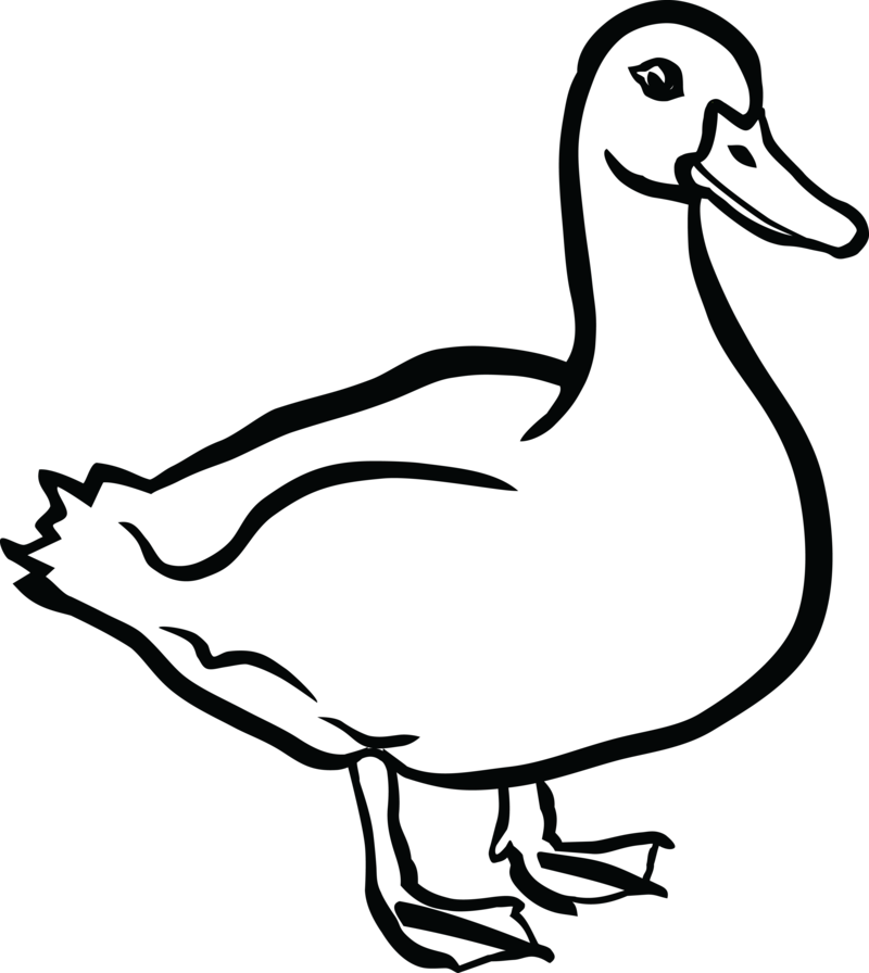 Free Clipart Of A Duck - Duck Black And White Clip Art - Png Download (800x896), Png Download