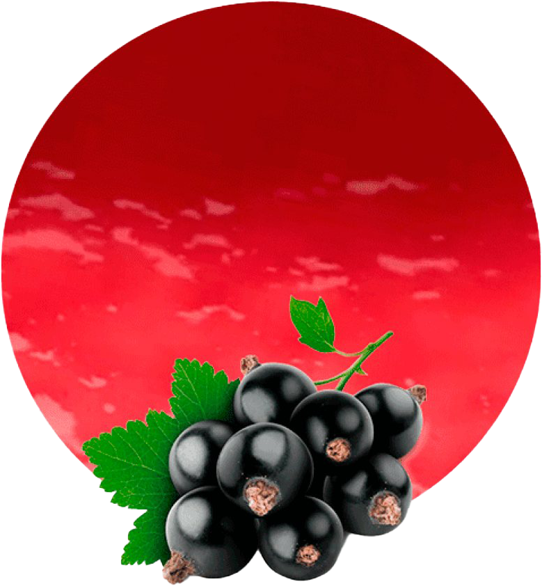 Blackcurrant Png Clipart - Cassis Fruit Transparent Png (840x859), Png Download