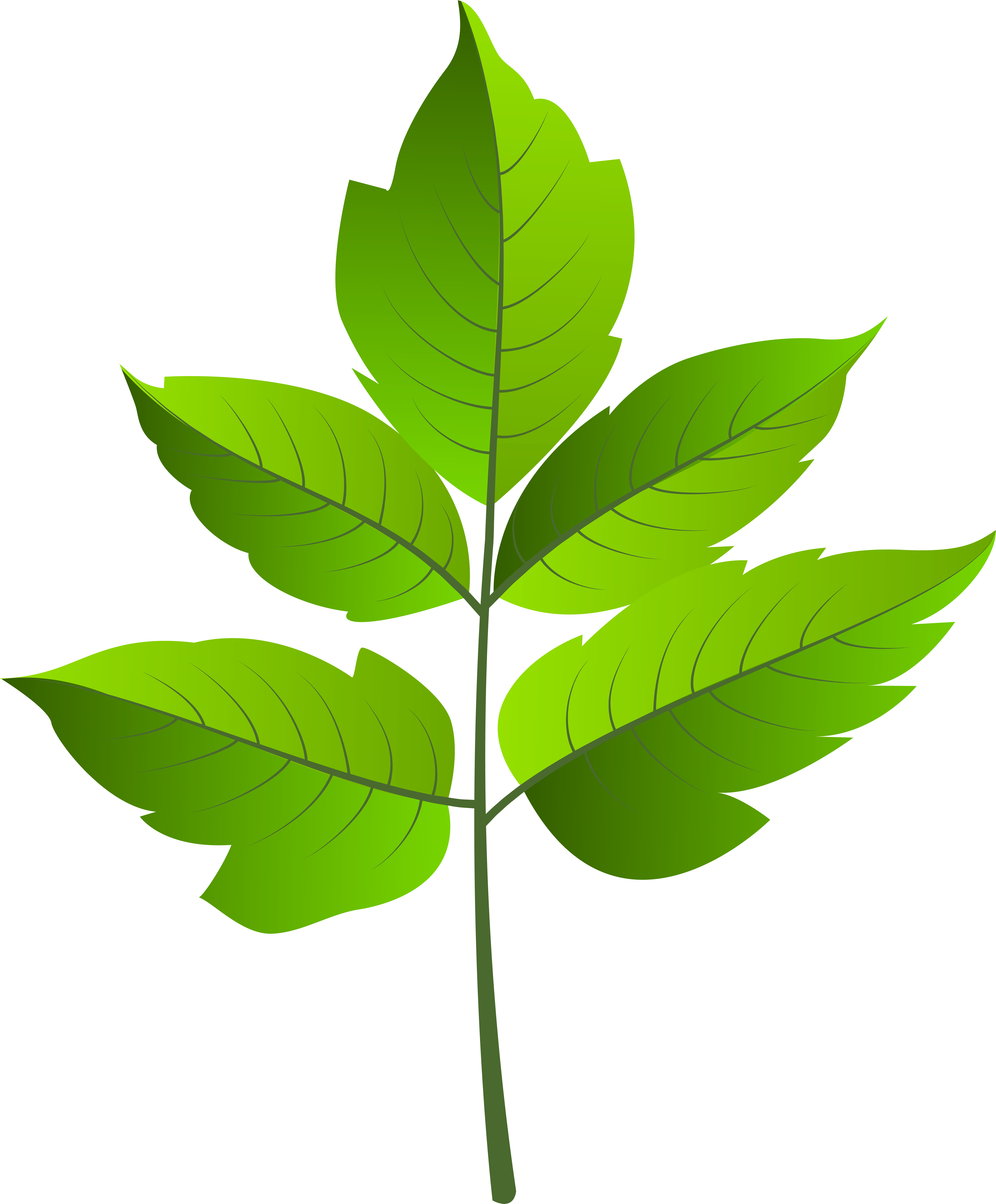 Добавь листочек. Кленовый лист. Листья клена для детей. Кленовый лист зеленый. Листочки для фотошопа.