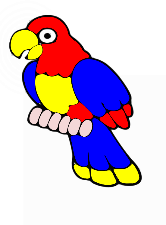 Pajaro - Pajaro Clipart - Png Download (566x800), Png Download