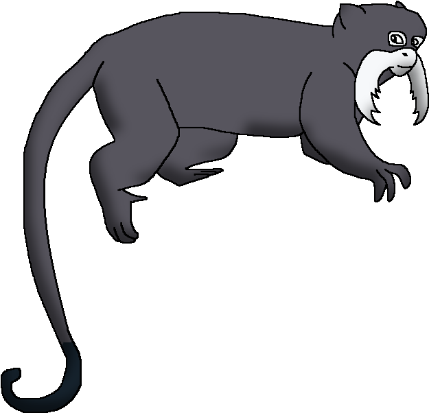 Wildlife Animal Pedia Wiki - Emperor Tamarin Body Parts Clipart (643x624), Png Download