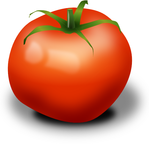 Tomato Clipart No Background - Png Download (600x553), Png Download