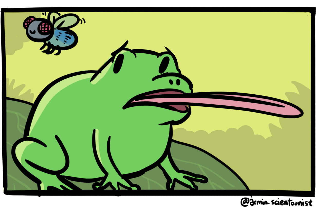 Clip Art - Png Download (1281x807), Png Download